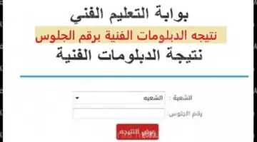 رابط رسمي.. نتيجة الدبلومات الفنية 2024 برقم الجلوس عبر بوابة التعليم الفني جميع المحافظات