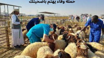 لخدمة ضيوف الرحمن.. إطلاق حملة "وقاء يهتم بأضحيتك" بمناطق المملكة