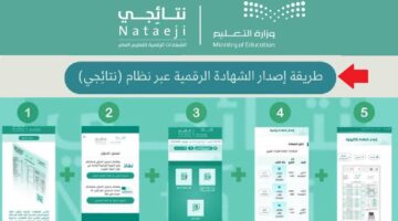 "التعليم" توضح خطوات استخراج الشهادة الرقمية عبر موقع نتائجي للطلاب بعد اعتمادها رسميًا