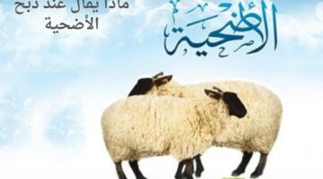 ماذا يقال عند ذبح الأضحية وما هو أفضل وقت للتضحية؟