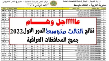 بالإسم فقط.. نتائج الثالث متوسط 2024 واسط دور أول موقع نتائجنا results.mlazemna