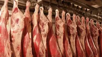 " قبل قدوم عيد الأضحى" سعر كيلو اللحم البقري قائم اليوم السبت 1 يونيو 2024