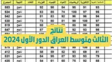 رابط فعال من وزارة التعليم العراقية.. نتيجة الثالث المتوسط الدور الاول في العراق 2024