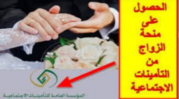 خدمة من التأمينات الاجتماعية للشباب.. تعرف على شروط منحة الزواج 1445