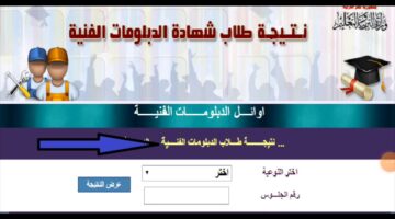 استعلم الآن.. نتيجة دبلوم التجارة برقم الجلوس 2024 عبر بوابة التعليم الفني fany.emis.gov.eg