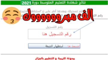 (هُنا رسمياً) الديوان الوطني للإمتحانات والمسابقات كشف نقاط البيام bem onec dz 2024 دورة جوان