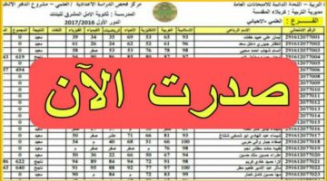 بالإسم فقط.. نتائج السادس الابتدائي 2024 موقع ناجح في عموم العراق دور أول