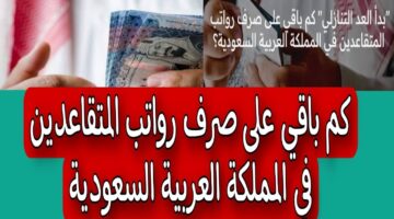 رسميًا.. مؤسسة التأمينات تعلن متى ينزل الراتب التقاعدي لشهر يوليو 2024