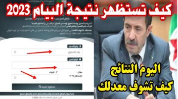 كيفية استخراج نتائج البيام 2024 عبر موقع الديوان الوطني وأولياء التلاميذ؟.. "التربية الوطنية" تُوضح