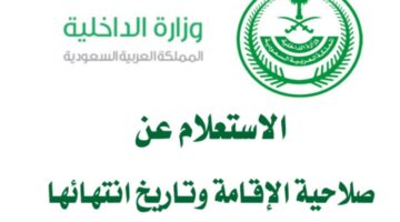 أهم المعلومات التي يمكن الحصول عليها من أبشر استعلام عن صلاحية الإقامة 1446