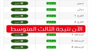 الآن الاستعلام نتائج الثالث المتوسط العراق 2024 عبر موقع نتائجنا
