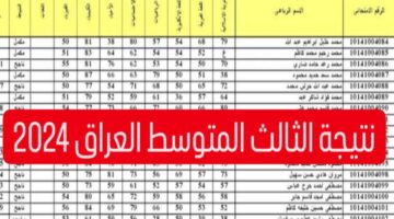 رابط نتيجة الثالث المتوسط العراق results.mlazemna.com 2024