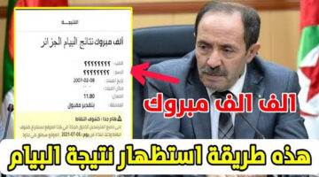 bem.onec.dz اسـتظهار نتائج شهادة التعليم المتوسط نتائج البـيام 2024