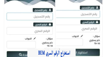 "3 طرق" استخراج الرقم السري bem من رقم التسجيل 2024 وعبر موقع فضاء الأولياء الإلكتروني