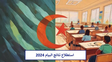 بسهولة من هنا.. استظهار نتائج البيام شهادة التعليم المتوسط bem onec dz 2024 وكيفية استخراج الرقم السري