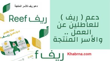من هنا رابط تسجيل منصة دعم ريف للاستعلام عن الأهلية ومبلغ الدعم لشهر يوليو 2024