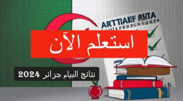 "استعلم الآن" استعلام نتائج البيام في الجزائر 2024 bem.onec.dz برابط رسمي وخطوات سهلة