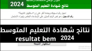 الآن.. رابط " البيام bem.onec.dz 2024" نتائج شهادة التعليم المتوسط في الجزائر بالرابط الرسمي وزارة التربية الوطنية الجزائرية