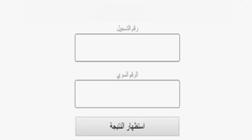 استخرجها في الحال.. نتائج البيام bem onec dz بالاسم والرقم السري وزارة التربية الوطنية الجزائرية 