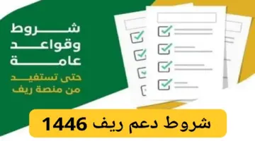 "سجل الآن".. التسجيل في دعم ريف 1446 reef.gov.sa