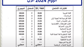 ظهرت الآن.. نتائج شهادة التعليم المتوسط 2024 البيام bem.onec.dz موقع الديوان الوطني للامتحانات والمسابقات