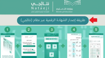 "التعليم توضح" كيفية استخراج الشهادة الرقمية عبر منصة نتائجي