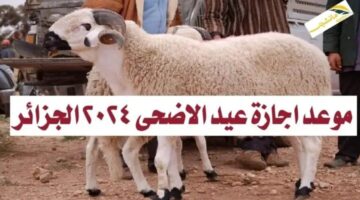 متى موعد عيد الاضحى 2024 الجزائر؟.. "الحكومه الجزائرية" توضح