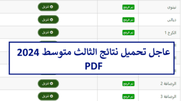 ظهرت الآن.. نتائج الصف الثالث متوسط موقع نتائجنا 2024 بغداد وجميع المحافظات
