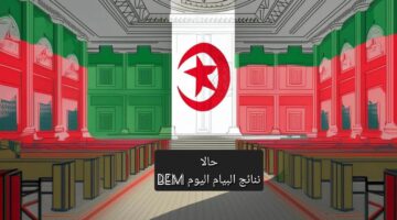 رابط نتائج البيام bem موقع وزارة التربية الوطنية الجزائرية للاستعلام عن نتائج شهادة التعليم المتوسط 2024