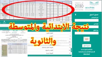 "رابط رسمي".. بالدرجات استخراج نتائج الطلاب 1445 الفصل الددراسي الثالث منصة نور