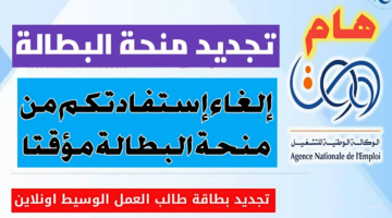 هام.. خطوات تجديد منحة البطالة 2024 كل 6 أشهر بسهولة من خلال الهاتف