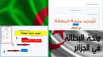 "كل 6 أشهر".. رابط تجديد منحة البطالة 2024 والشروط المطلوبة الوكالة الوطنية للتشغيل