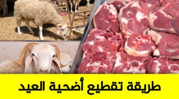 "في خطوات مبسطة".. كيفية تقطيع الأضحية بالطريقة الصحيحة بالتفصيل