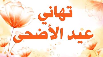 "رسائل تهنئة مليئة بالحب".. أجمل مايقال في عيد الأضحى هي تهنئة عيد الأضحى المبارك لعام 2024