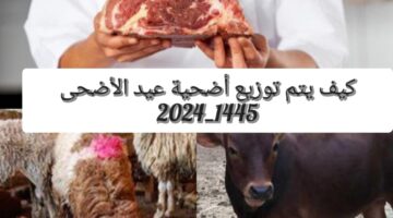 كيف يتم توزيع الاضحية في عيد الاضحى 1445 وهل يجوز توزيع الأضاحي لغير المسلمين؟