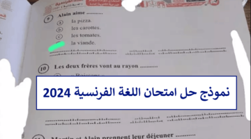 "راجع حلك من هنا".. نموذج حل امتحان اللغة الفرنسية 2024 ثانوية عامة وتوزيع درجات الفرنساوي