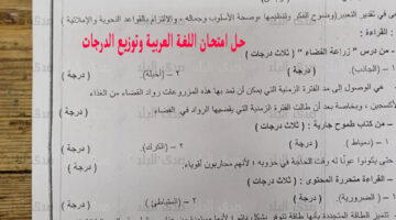 (جميع الإجابات) نموذج حل امتحان اللغة العربية 2024 الثانوية العامة وتوزيع الدرجات العربي