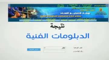 هنا.. خطوات الاستعلام عن نتيجة الدبلومات الفنية 2024 عبر الخاصة بالنتائج fany.emis.gov.eg