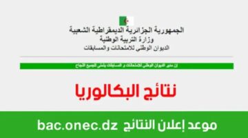 رابط نتائج البكالوريا بالجزائر 2024 على موقع الوزارة وموقع فضاء التلميذ bem.onec.dz