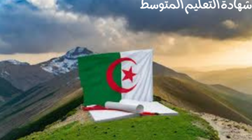 ما هي خطوات الاستعلام عن نتائج شهادة التعليم المتوسط في الجزائر 2024؟