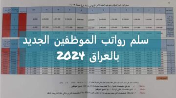 زيادة رواتب الموظفين في العراق 2024.. "وزارة المالية العراقية" توضح