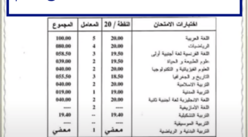 هنا سحب كشف نقاط شهادة التعليم المتوسط 2024 تنزيل كشوف البيام PDF