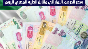 تحديث جديد .. سعر الدرهم مقابل الجنيه المصري اليوم الثلاثاء 4/6/2024 في البنوك المصرية