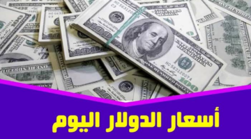 سعر الدولار اليوم السبت 29 يونيو 2024 مقابل الجنيه المصري