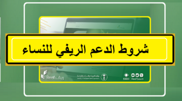 وزارة البيئة توضح شروط الدعم الريفي للنساء ومن لهم الأحقية في الاستفادة منه