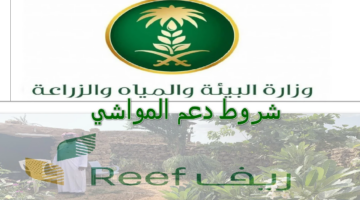 كيفية الحصول على دعم المواشي الجديدة من ريف والشروط المطلوبة 1445