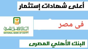 "استثمار مضمون".. شهادات البنك الأهلي 2024 الجديدة أعلى عائد إدخار في مصر