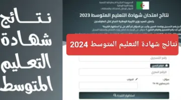 وزارة التربية الوطنية تكشف رابط الاستعلام عن نتائج شهادة التعليم المتوسط