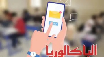 "نتيجة الباك 2024 تونس sms" .. وزارة التربية تعلن إرسال نتائج البكالوريا عبر الرسائل القصيرة .. في هذا الموعد