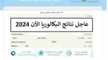 "رسميًا جاري الرفع" وسيتم ظهور نتائج البيام 2024 الجزائر عبر الموقع الرسمي الديوان الوطني bem.onec.dz أو هاتفيًا